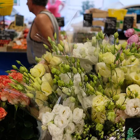 Tdr - Fabulous - 5 Stars Terrace - 4pax Old Town Apartmán Antibes