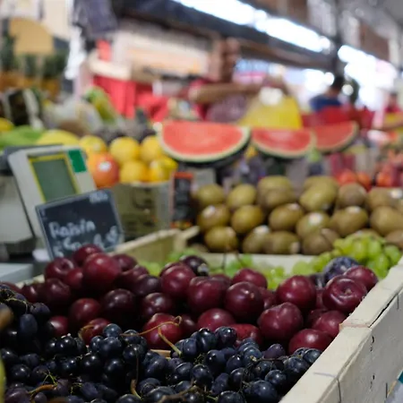 Tdr - Fabulous - 5 Stars Terrace - 4pax Old Town Apartmán *