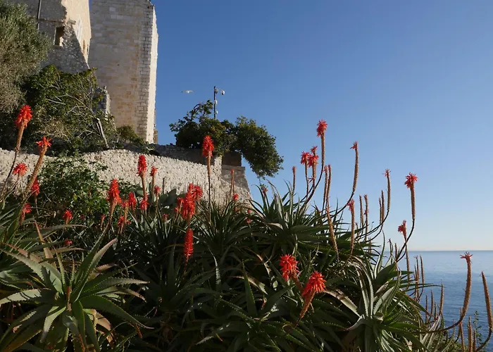 Lägenhet Tdr - Fabulous - 5 Stars Terrace - 4pax Old Town *