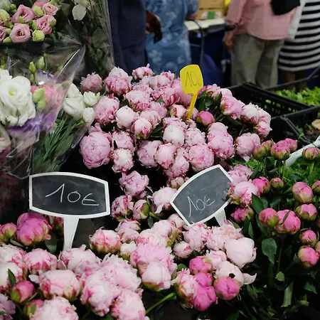 Tdr - Fabulous - 5 Stars Terrace - 4pax Old Town Apartment Antibes