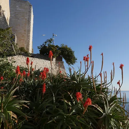 דירה Tdr - Fabulous - 5 Stars Terrace - 4pax Old Town *