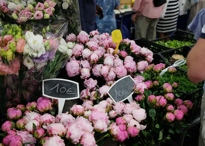 Tdr - Fabulous - 5 Stars Terrace - 4pax Old Town Appartement Antibes