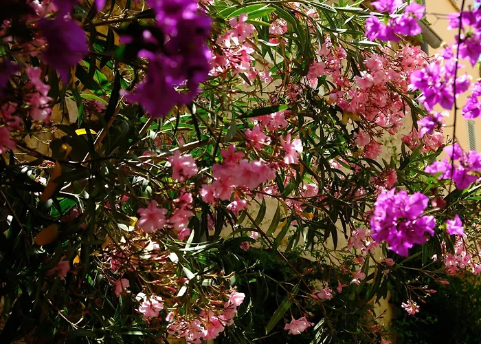 Tdr - Fabulous - 5 Stars Terrace - 4pax Old Town Antibes