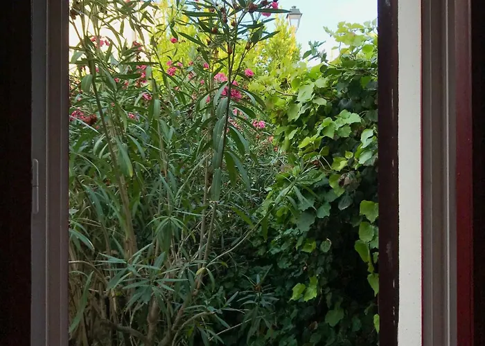 Appartement Tdr - Fabulous - 5 Stars Terrace - 4pax Old Town Antibes